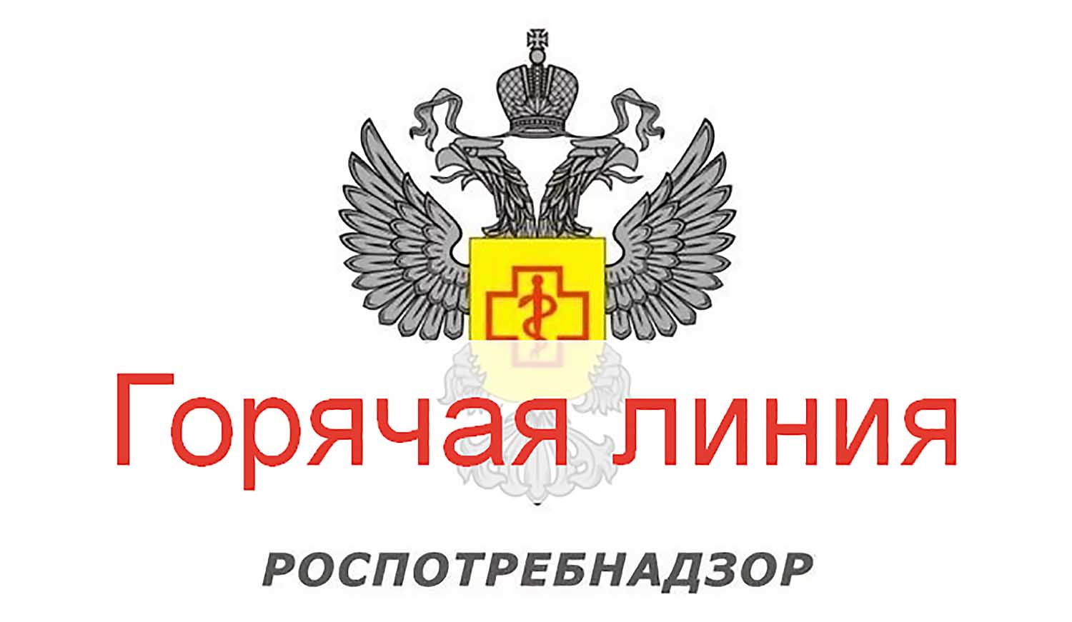 Управление Роспотребнадзора по Саратовской области с 01 по 12 апреля 2024 года организует работу «горячей линии» по вопросам организации питания в школах..