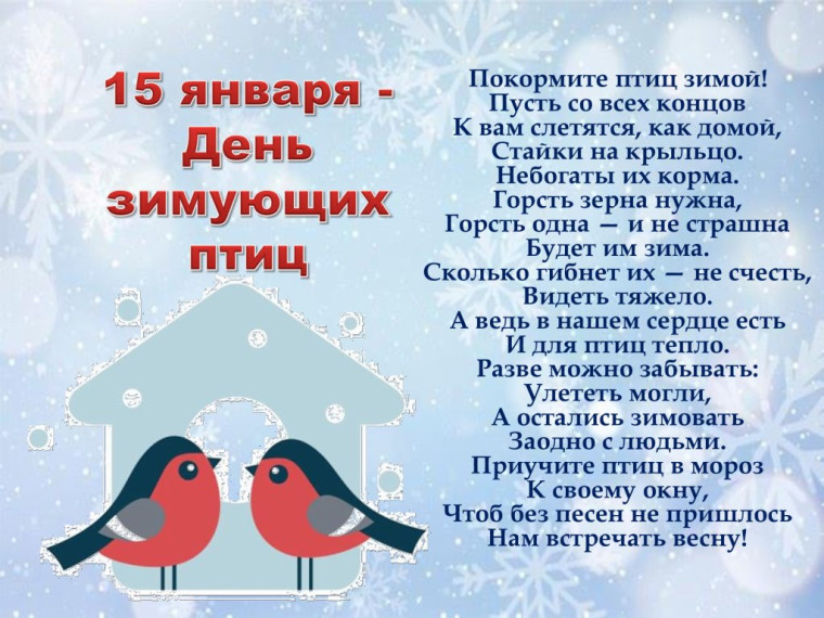 15 января День зимующих птиц в России.
