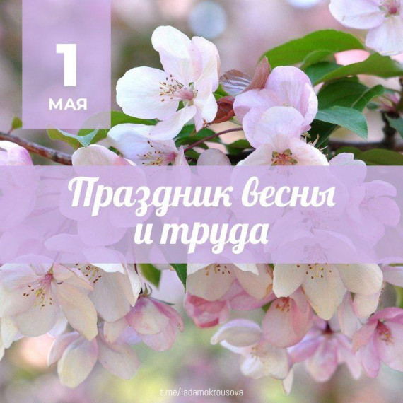 Глава города Лада Мокроусова поздравила саратовцев с Праздником весны и труда.